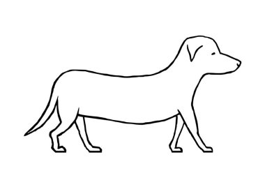 Siyah büyük köpek.