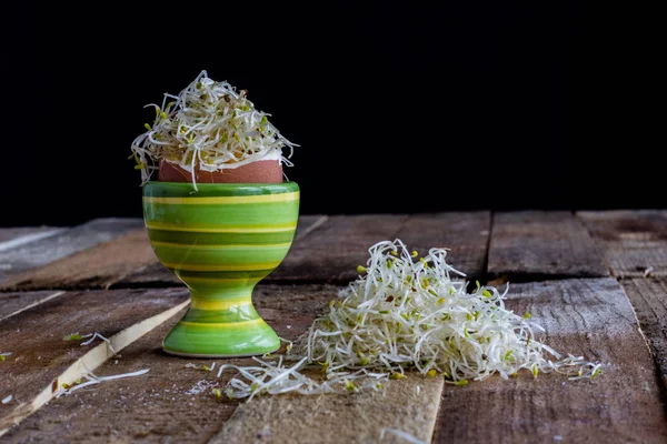 Яйцо и капуста — стоковое фото