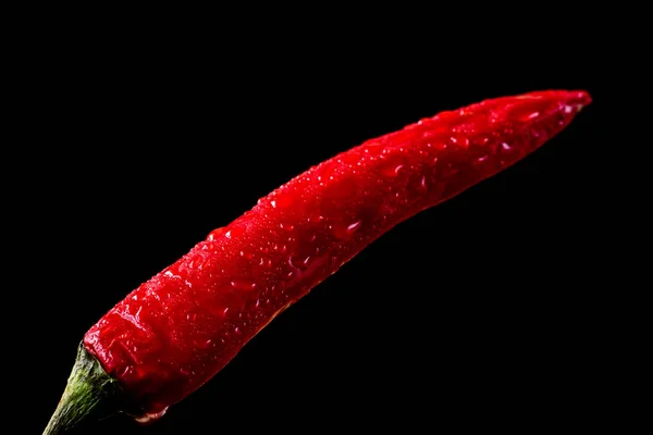 Мокрый красный перец — стоковое фото