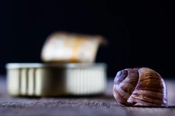 Snail shell and tin can on a wooden old table — Stock Photo, Image