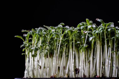 Tere eski ahşap masa mutfak