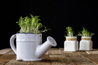 Eski mutfak ahşap tablo Easter havamda