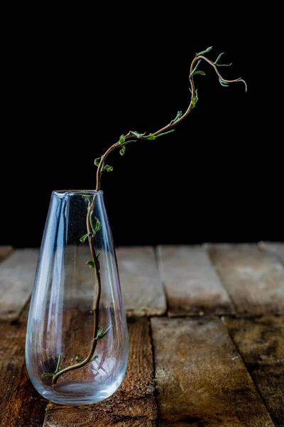 Dry flowers in a glass vase on an old wooden table — Stock Photo, Image