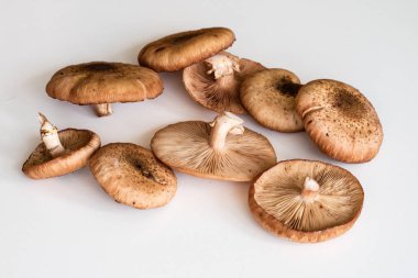 Taze mantar ki ki beyaz mutfak masası üzerinde.