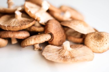 Taze mantar ki ki beyaz mutfak masası üzerinde.