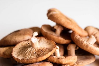 Taze mantar ki ki beyaz mutfak masası üzerinde.