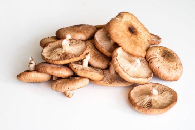 Taze mantar ki ki beyaz mutfak masası üzerinde.