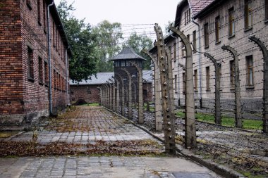 Esirler Auschwitz konsantrasyon yürütmek için kullanılan bir alan bir görünümü