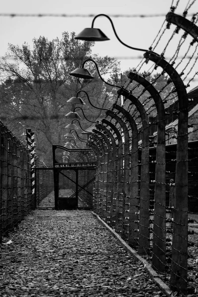 Вид на площу використовуються для виконання ув'язнених Освенцим концентрац — стокове фото
