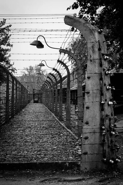 Esirler Auschwitz konsantrasyon yürütmek için kullanılan bir alan bir görünümü