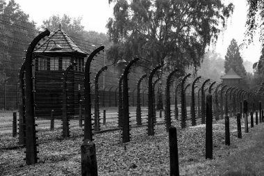 Esirler Auschwitz konsantrasyon yürütmek için kullanılan bir alan bir görünümü