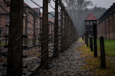 Esirler Auschwitz konsantrasyon yürütmek için kullanılan bir alan bir görünümü