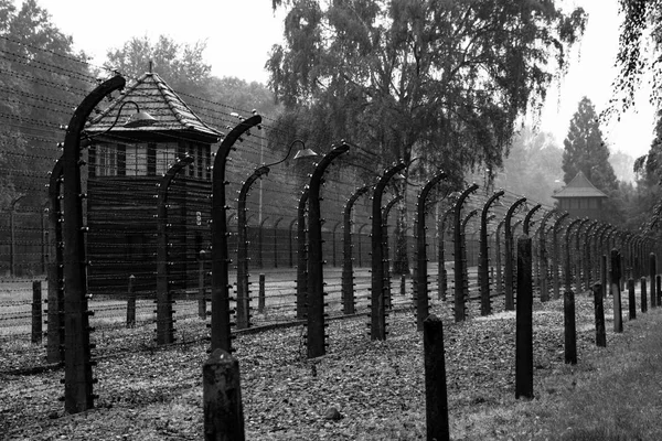 Uma visão de uma área usada para executar prisioneiros de Auschwitz Conc — Fotografia de Stock