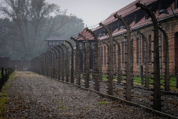 Esirler Auschwitz konsantrasyon yürütmek için kullanılan bir alan bir görünümü