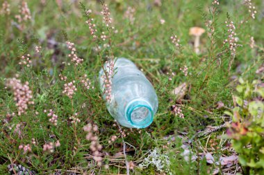 Plastik çöp ormanın içinde. Kandırıldık doğa. Plastik konteyner ly
