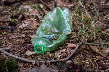 Plastik çöp ormanın içinde. Kandırıldık doğa. Plastik konteyner ly
