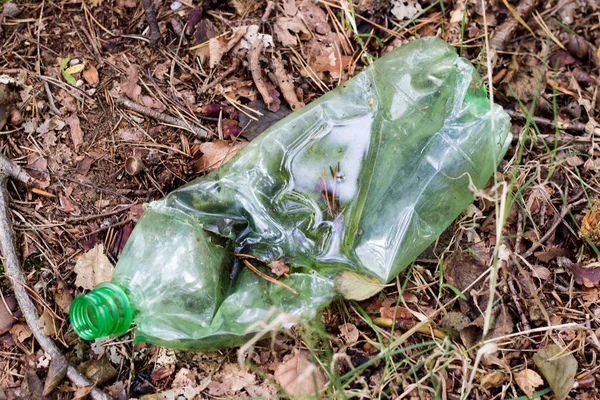 Plastik çöp ormanın içinde. Kandırıldık doğa. Plastik konteyner ly