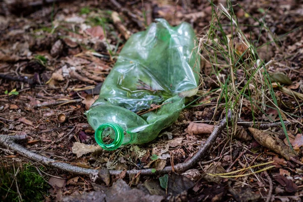 Plastik çöp ormanın içinde. Kandırıldık doğa. Plastik konteyner ly