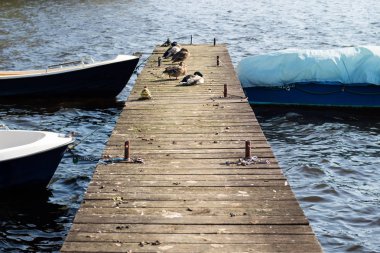 Güzel marina göl kenarında. Sıcak sonbahar günü, ahşap köprü, bo