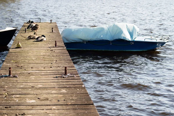 Belle marina sur le lac. Jour d'automne chaud, pont en bois, bo — Photo