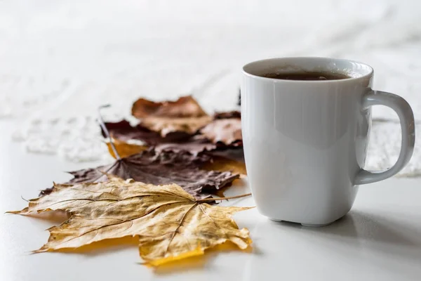 Un día otoñal, una taza de sabroso té y pastel. Junto al arce seco —  Fotos de Stock