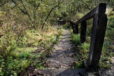 Sonbahar parkta güzel küçük köprü.