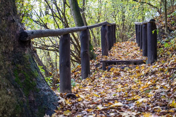 Ponte pequena bonita no parque no outono . — Fotografia de Stock