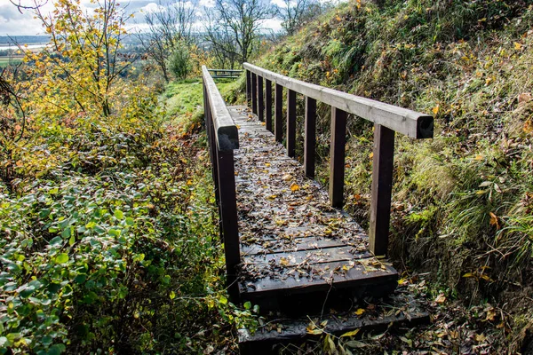 Ponte pequena bonita no parque no outono . — Fotografia de Stock