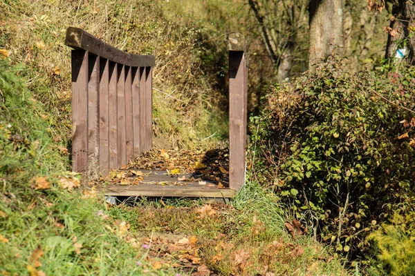 Hermoso pequeño puente en el parque en otoño . — Foto de Stock