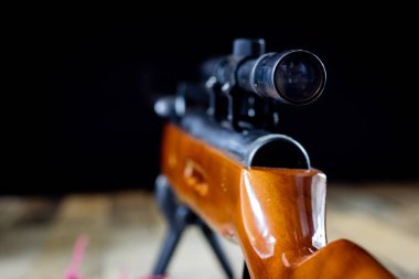 kalkan ve shooti, av tüfeği ile çekim, pnömatik silah