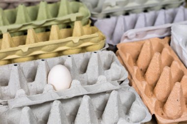 Ahşap mutfak masasında kalıpları yumurtalar. Tavuk yumurta mutfak 