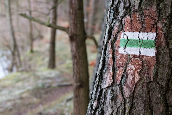 Marking of the tourist route. A tourist road sign on the bark of