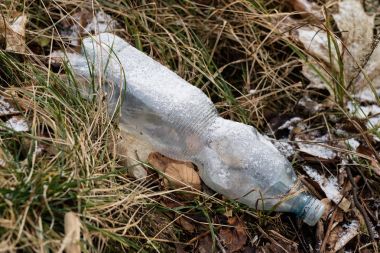 Atık ve çöp ormanın içinde. Plastik şişe, teneke kutular ve cam