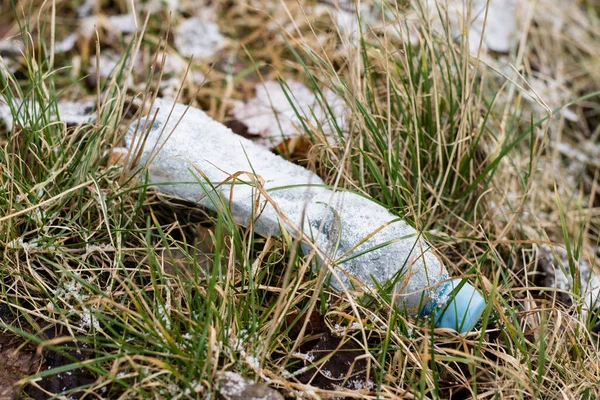 Відходи і сміття в лісі. Пластикові пляшки, банки та скло — стокове фото