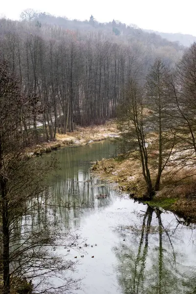 Rivière coulant parmi la forêt. Rivière, arbres et forêt en vignoble — Photo