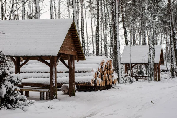 piotrek@wytrazek.pl