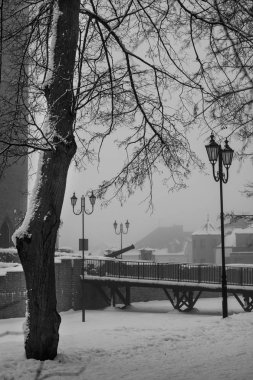 Kış vakti parkta. Yol karlı parkta. Ağaçları ile kaplı 