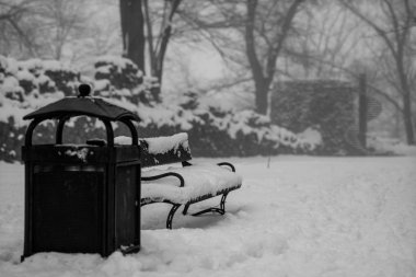 Karla kaplı bir Bank parkta. T tarafından karla kaplı bir Bank