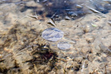 Gölde buz. Donmuş bir göl. KRA, buz su yüzeyi.