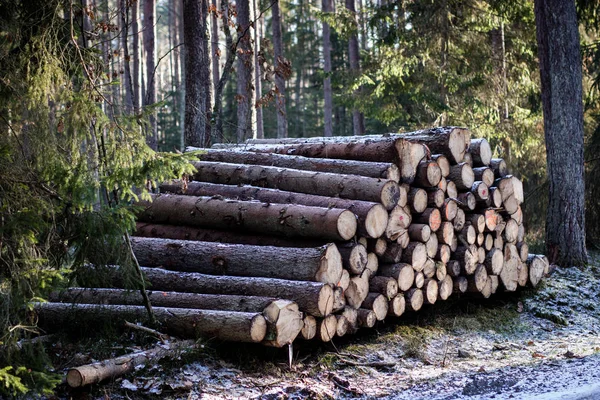 A pile of wood arranged by a forest road. The stacked wood is wa — Stock Photo, Image