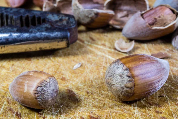 Nocciole saporite su un tavolo da cucina in legno. Specialità forestali e — Foto Stock