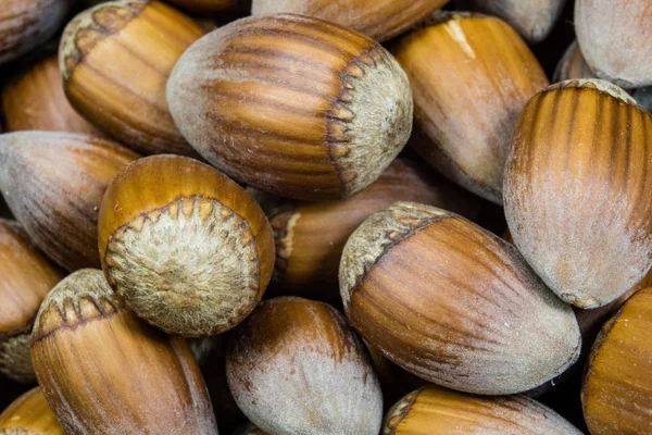 Nocciole saporite su un tavolo da cucina in legno. Specialità forestali e — Foto Stock