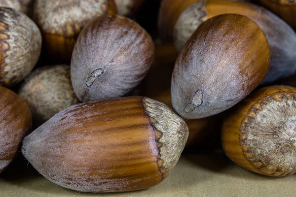 Nocciole saporite su un tavolo da cucina in legno. Specialità forestali e — Foto Stock