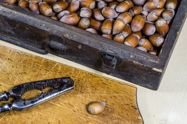 Nocciole saporite su un tavolo da cucina in legno. Specialità forestali e — Foto Stock
