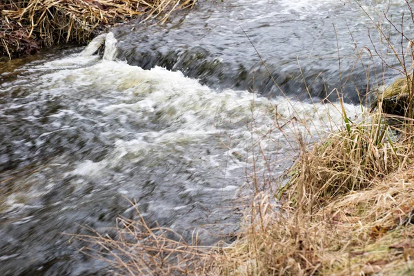 Limite de água em um pequeno rio na floresta. Cachoeira em um n — Fotografia de Stock