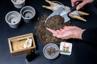 Çiçek, saksı ve saksı nakli sırasında arazi