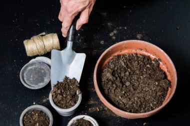 Çiçek, saksı ve saksı nakli sırasında arazi