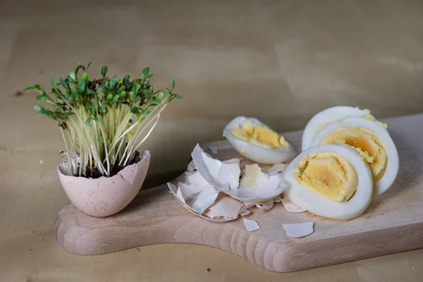 水芹在餐桌上发芽。kitche 中的鸡蛋和草药 — 图库照片