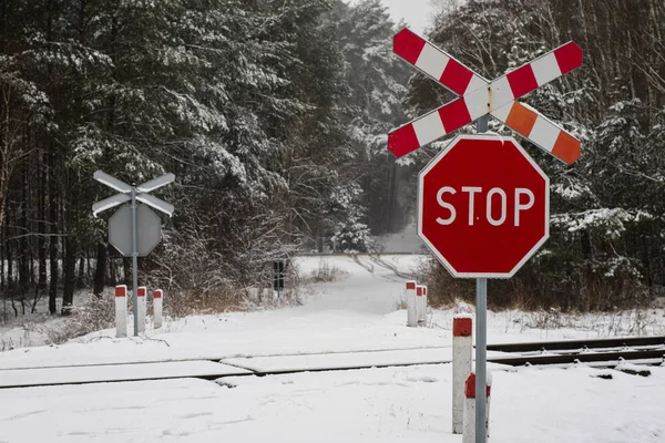 Cruce ferroviario con señal de stop en una zona boscosa. Ferrocarril infr — Foto de Stock