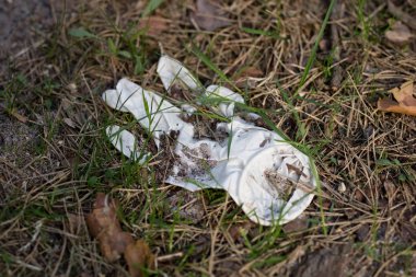 Çöp ormanda yaptı. Plastik şişeler orman çöp